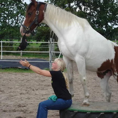 Little Farm House, 25164 Holiday home Bunde (Lower Saxony)